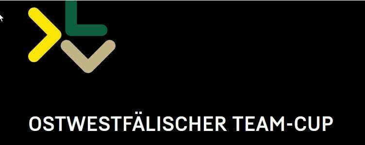 OWL – Teamcup